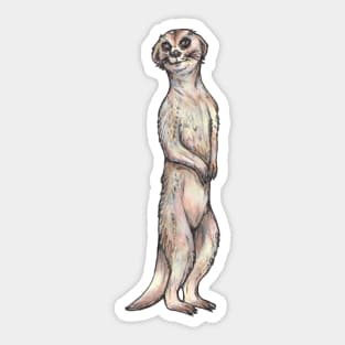 Meerkat Sticker